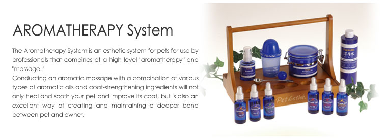 Aromatherapy System